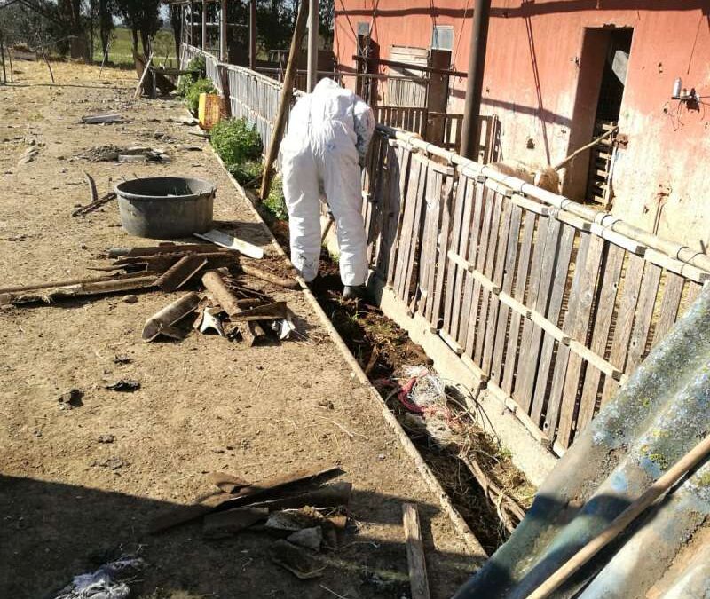 Igiene ambientale a Roma e in Italia